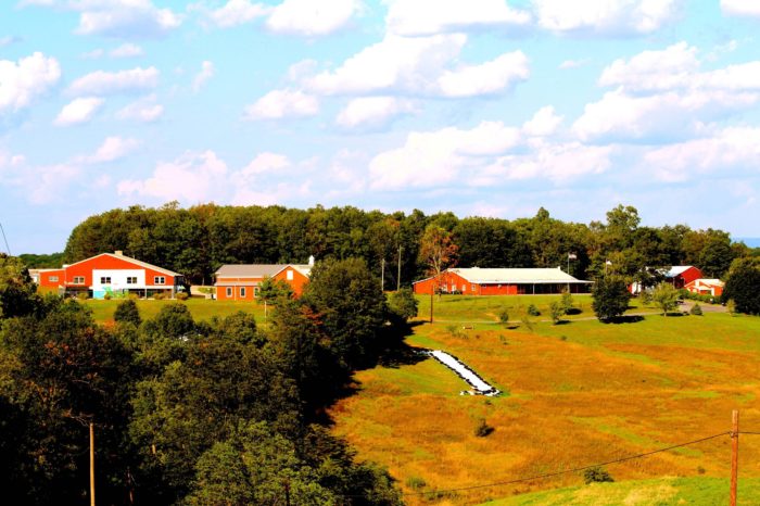 We are blessed to have found such a beautiful place | Joy El Camps & Retreats 