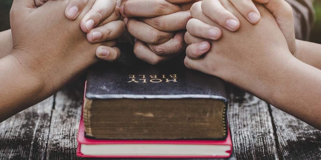 Mentorship Mentorship